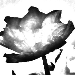 Pencil Sketch 016